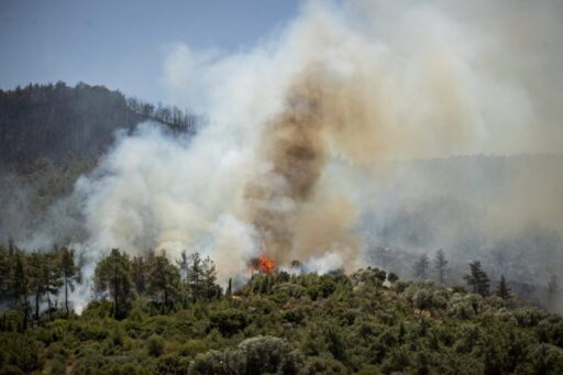 Seferihisar ve Menderes yangınlarının bilançosu ağır