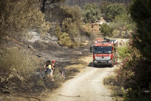 Seferihisar ve Menderes yangınlarının bilançosu ağır