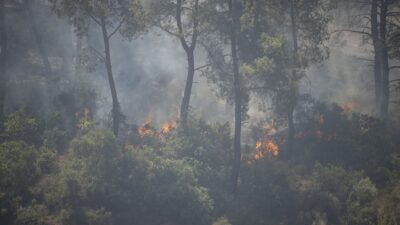 İzmir’i günlerdir etkileyen yangınlar, beraberinde ekolojik ve ekonomik yıkımı da