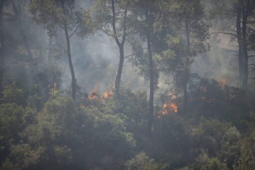 İzmir’i günlerdir etkileyen yangınlar, beraberinde ekolojik ve ekonomik yıkımı da