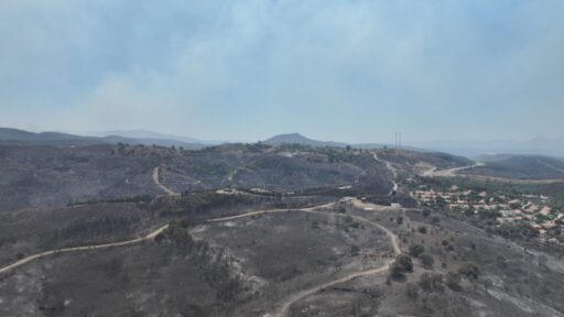 Seferihisar ve Menderes yangınlarının bilançosu ağır