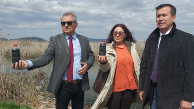 İzmir’de 26 bin hektar orman yandı! CHP’li Selçuk Karakülçe, Tarım