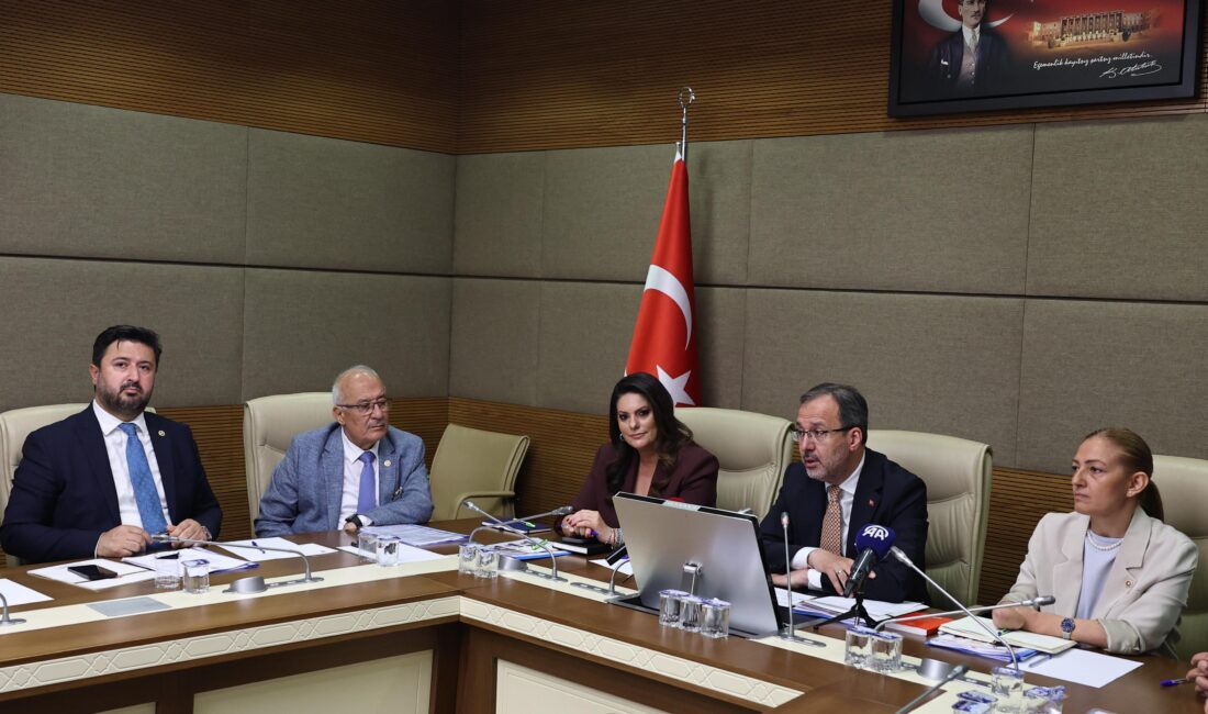 Komisyonun ilk toplantısında, AK Parti İzmir Milletvekili ve önceki dönem