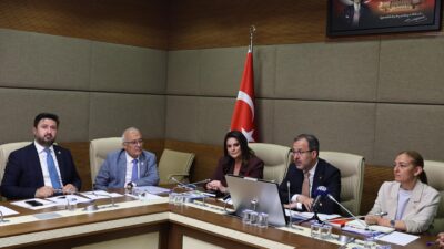 Komisyonun ilk toplantısında, AK Parti İzmir Milletvekili ve önceki dönem