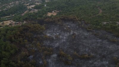 İzmir'in Urla ilçesinde çıkan orman yangınına müdahale ikinci günde de