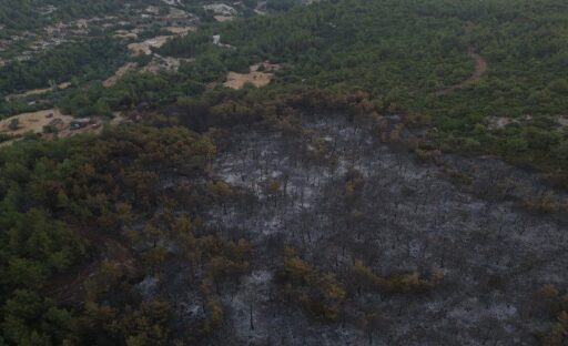 İzmir'in Urla ilçesinde çıkan orman yangınına müdahale ikinci günde de