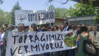 TBMM, zeytinlikleri madenciliğe açan "Süper İzin" yasasını onayladı! Çevreciler ve