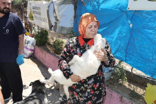 Menderes Belediyesi’nin orman yangınında yaptığı yardım çağrısına Üsküdar Belediyesi’nden yanıt