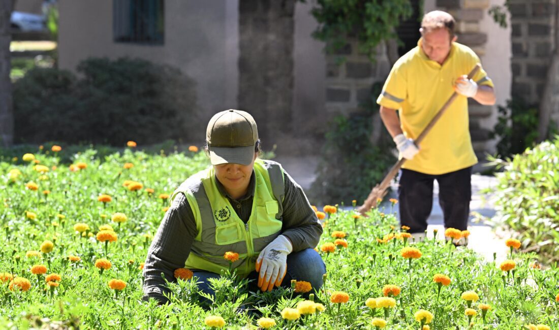 Aydın Büyükşehir Belediyesi, Söke’de yürüttüğü kapsamlı çalışmalarla ilçenin çehresini güzelleştirmeye