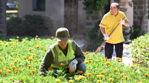 Aydın Büyükşehir Belediyesi, Söke’de yürüttüğü kapsamlı çalışmalarla ilçenin çehresini güzelleştirmeye