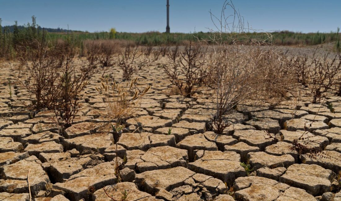 İzmir, son yılların en kurak yaz mevsimini yaşarken kentin içme