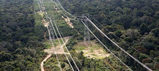 Başta İzmir olmak üzere yurdun farklı noktalarında çıkan yangınlarda binlerce