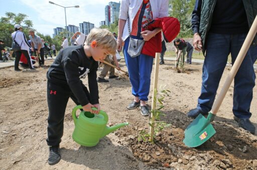 Karşıyaka Belediyesi’nin hayata geçirdiği yapı kullanma izinlerinde fidan bağışı kabul