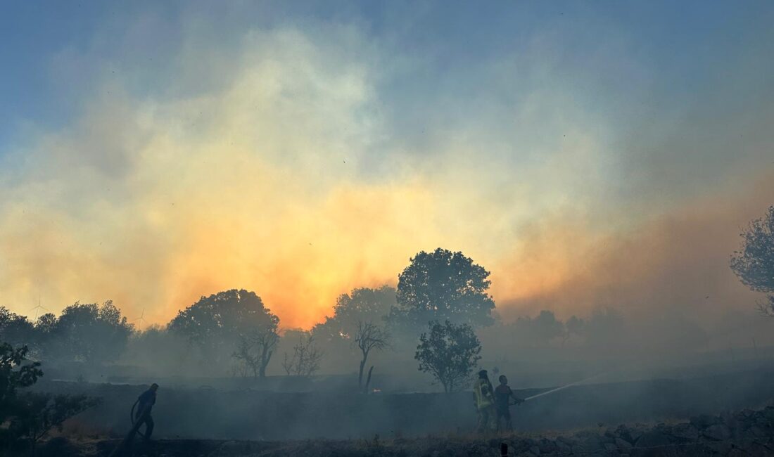 İzmir’in Dikili ilçesine bağlı Çandarlı Mahallesi’ndeki bir sitede gece yarısı