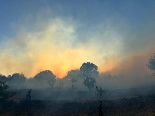 İzmir’in Dikili ilçesine bağlı Çandarlı Mahallesi’ndeki bir sitede gece yarısı