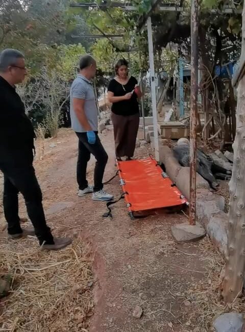 İzmir Büyükşehir Belediyesi ekipleri, ateşli silahla yaralandığı belirlenen bir domuzu,