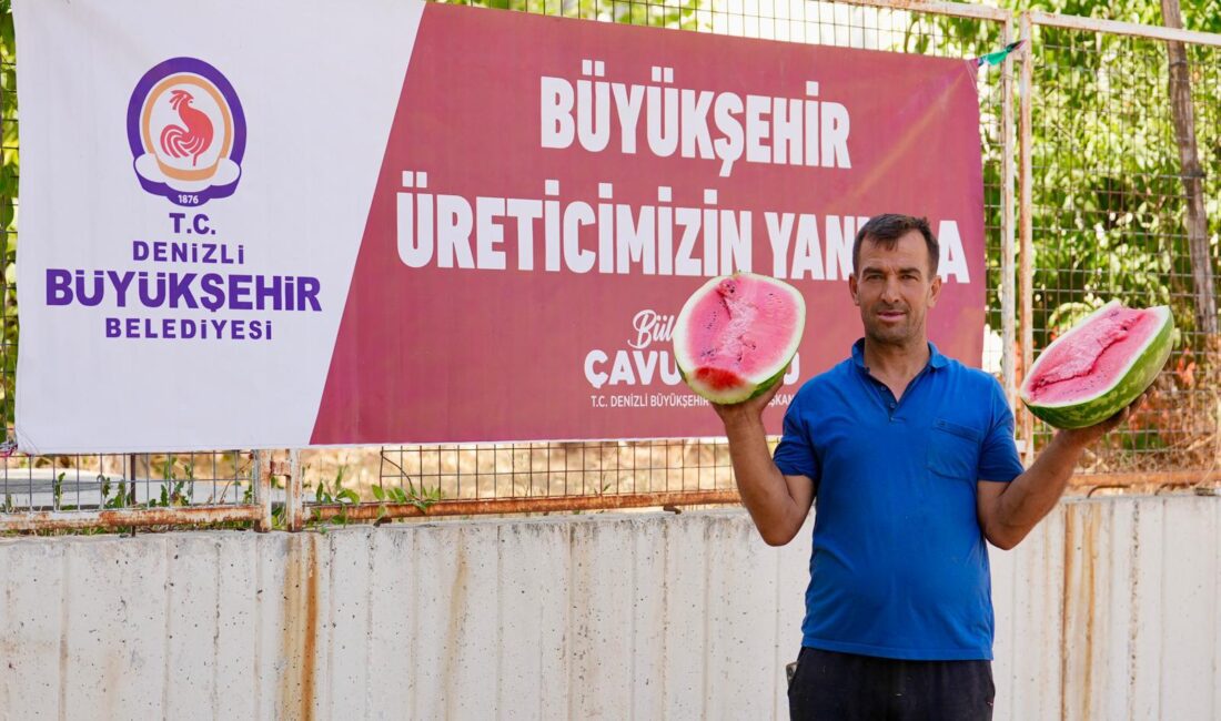 Alın teri ziyan olmadı, sofralara ulaştı Denizli Büyükşehir Belediyesi, karpuz üreticilerinin elinde kalan tonlarca ürünü satın