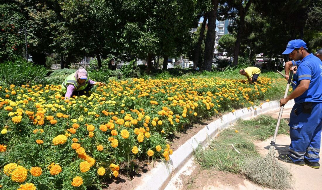 Aydın Büyükşehir Söke’de parkları Yeniliyor Aydın Büyükşehir Belediyesinin, Söke’de Park ve Bahçeler, Çevre Koruma ve