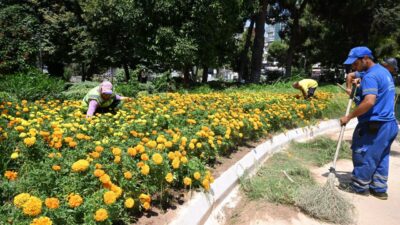 Aydın Büyükşehir Belediyesinin, Söke’de Park ve Bahçeler, Çevre Koruma ve
