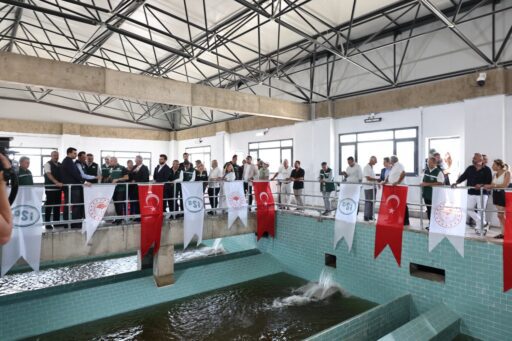 EYYÜP KADİR İNAN ÇEŞME SU YA KAVUŞTU