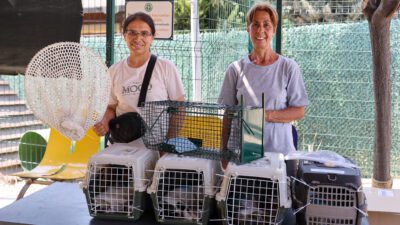 Buca Belediyesi, 2025’te 212 Sokak hayvanları kedi ve köpeği sıcak