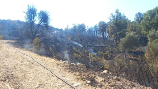 Buca ve Aliağa’da çıkan yangınlar kontrol altına alındı