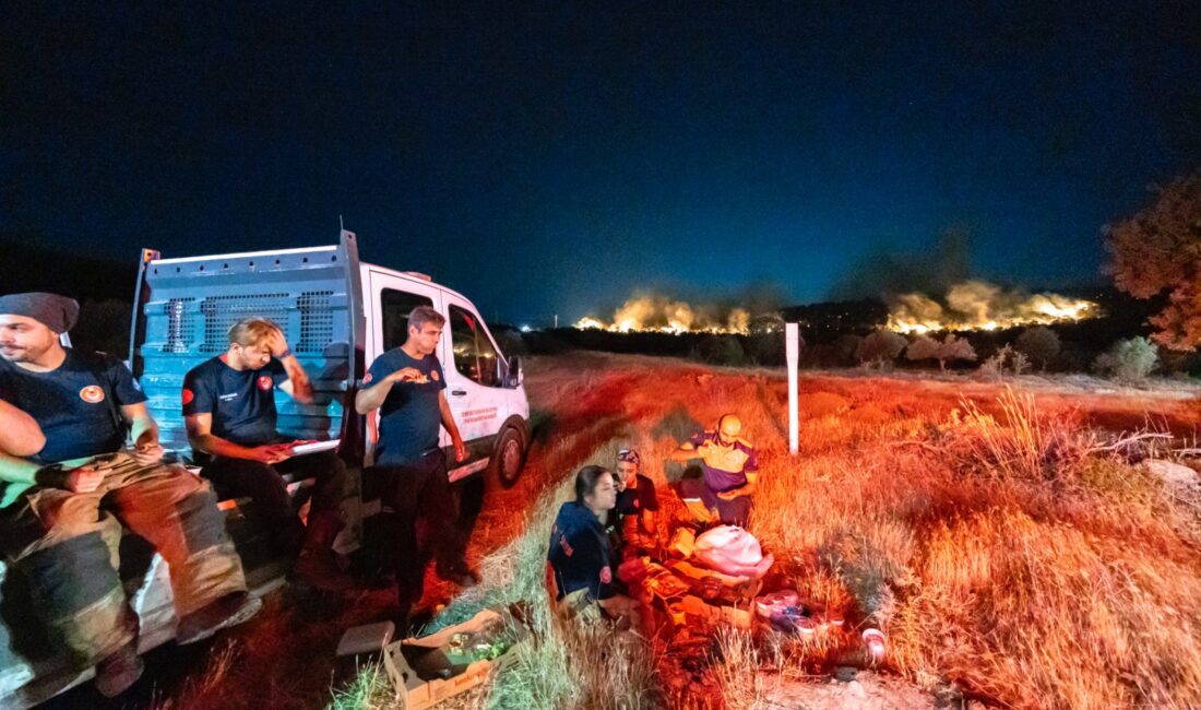 Buca ve Aliağa ilçelerinde başlayan ve rüzgarın etkisiyle kısa sürede