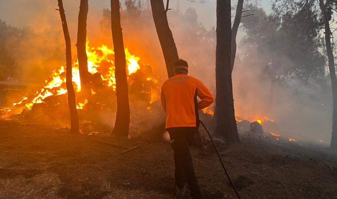 İzmir Aliağa ve Menderes’te çıkan yangınlar da İzmir Büyükşehir Belediyesi