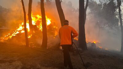 İzmir Aliağa ve Menderes’te çıkan yangınlar da İzmir Büyükşehir Belediyesi