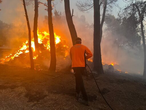 İzmir Aliağa ve Menderes’te çıkan yangınlar da İzmir Büyükşehir Belediyesi