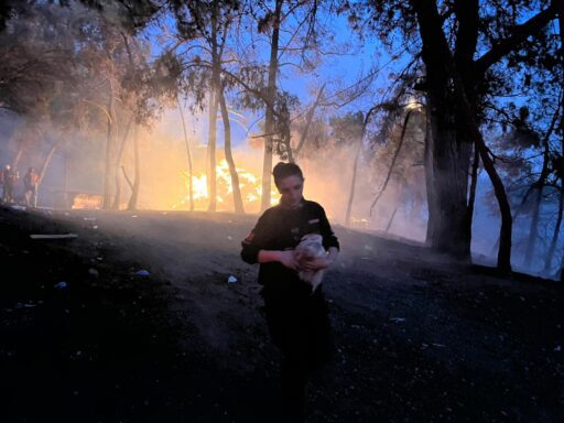 Buca tüm gece alevlerle mücadele etti