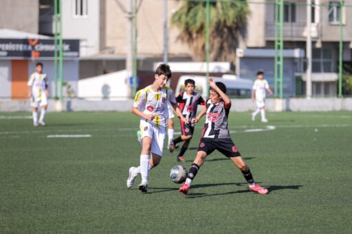 Buca Belediyesi’nin 30 Ağustos Zafer Bayramı nedeni ile düzenlediği Zafer