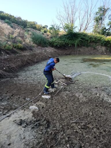 Büyükşehir İtfaiye’den gönülleri ısıtan kurtarma