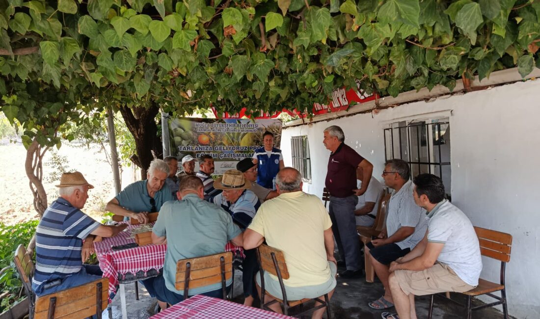 Büyükşehir ‘Tarlanıza Geliyoruz’ Projesiyle Milaslı Üreticilerin Yanında Muğla Büyükşehir Belediyesi’nin tarımsal üretimi desteklemek ve üreticiye doğrudan katkı