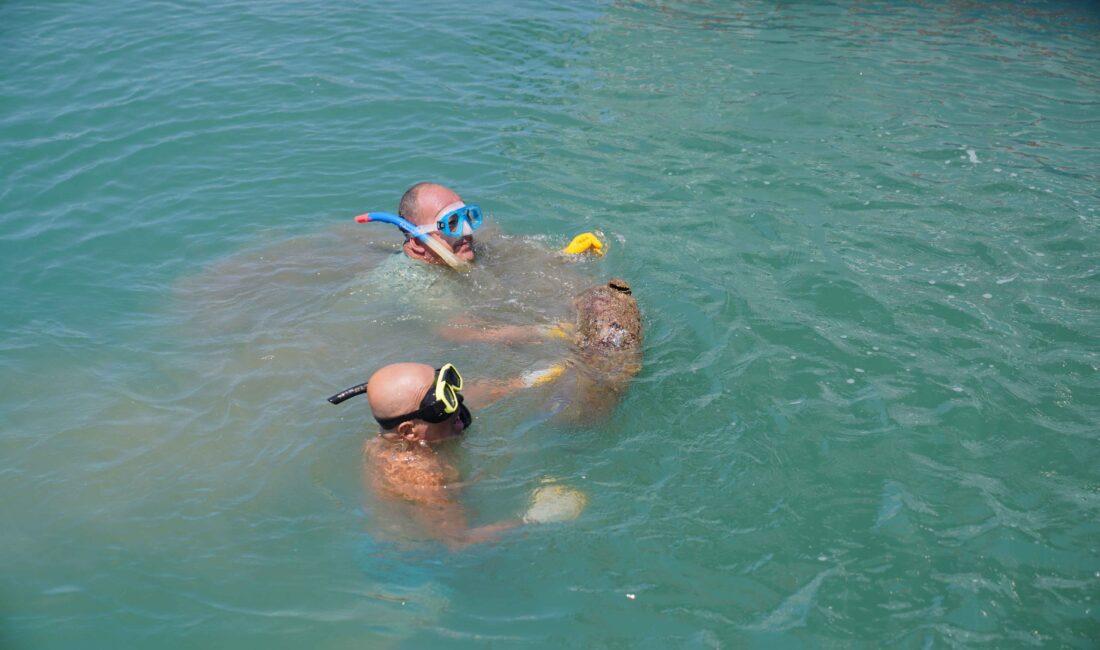Ayvalık Belediye Başkanı Mesut Ergin, “Ayvalık Belediyesi ve sivil toplum