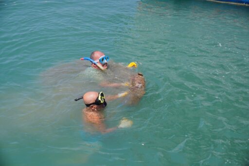 Ayvalık Belediye Başkanı Mesut Ergin, “Ayvalık Belediyesi ve sivil toplum