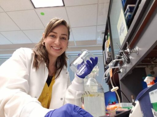 Doğal marinel kaynaklı yanık kremi