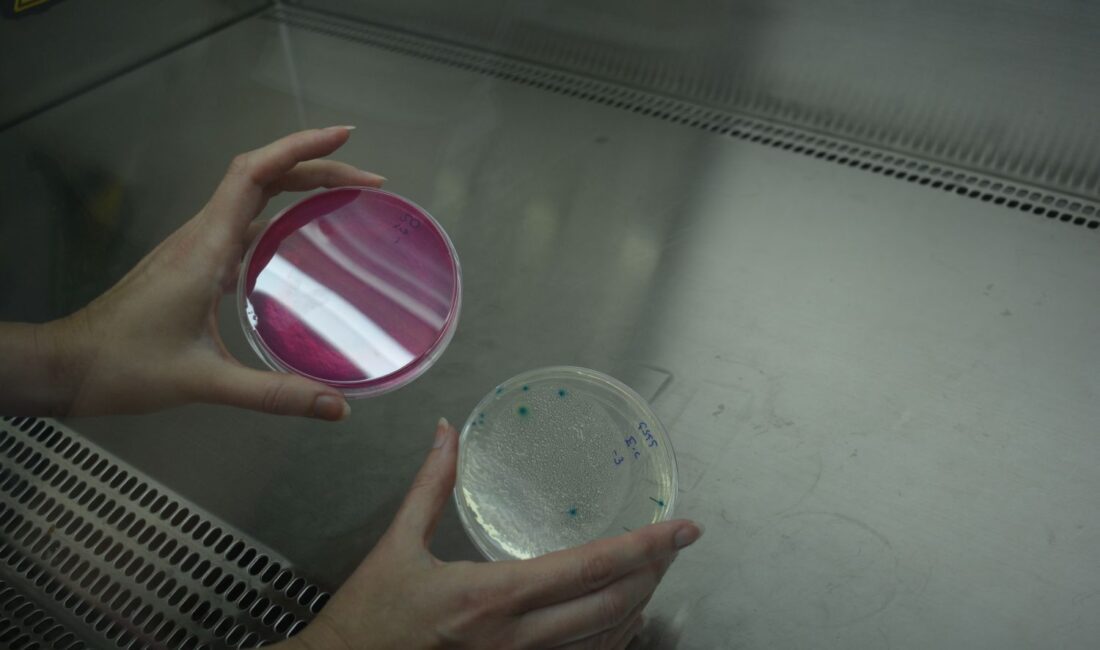 EGEMİKAL mikrobiyolojik analizlerde akreditasyon güvencesi sağlıyor Ege Üniversitesi Mikrobiyolojik Analiz Laboratuvarı EGEMİKAL dezenfektanlarından su analizlerine kadar