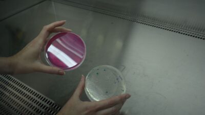 Ege Üniversitesi Mikrobiyolojik Analiz Laboratuvarı EGEMİKAL dezenfektanlarından su analizlerine kadar