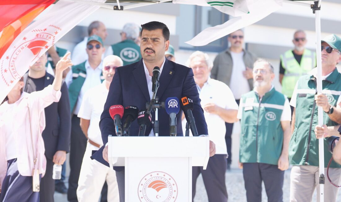 İnan, Karareis Barajı ve Salman Barajı Ortak Deposu, İletim Hattı