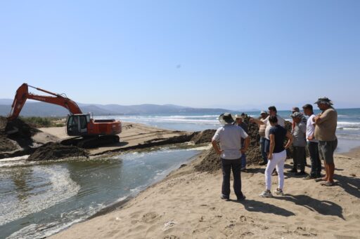 Efes Selçuk’ta Kazan Gölü’nde balık ölümleri artıyor. Belediye Başkanı Filiz