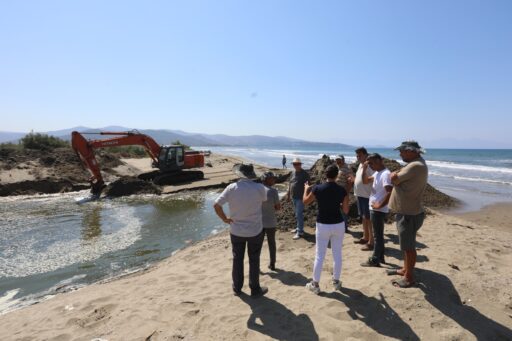 Efes Selçuk’ta Balık Ölümleri İsyan Ettirdi