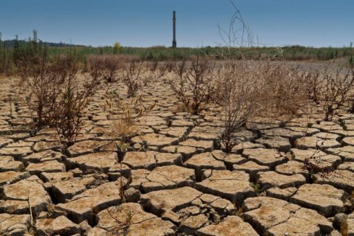 Su tasarrufu çok önemli