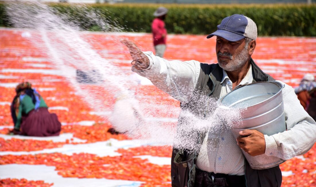 “Işığın İzi” Manisa Müzesi’nde Fotoğraf Tutkunlarıyla Buluştu Manisa Müzesi’nin tarihi atmosferinde gerçekleşen “Işığın İzi” Fotoğraf Gösterimi, sanatseverlerin