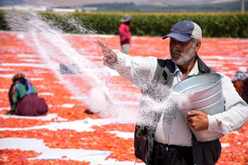 Manisa Müzesi’nin tarihi atmosferinde gerçekleşen “Işığın İzi” Fotoğraf Gösterimi, sanatseverlerin