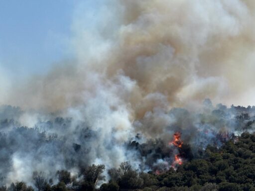 İzmir Büyükşehir Belediyesi İtfaiye Dairesi Başkanlığı, kentin birçok noktasında çıkan