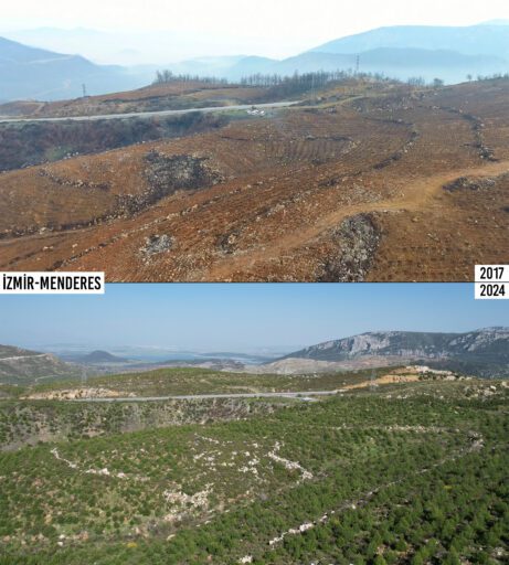 CHP ve AK Partili Meclis Üyeleri yanan orman yerlerinde buluştu