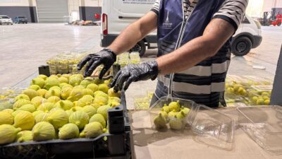 İzmir Büyükşehir Belediyesi tarafından yerel üreticiden satın alınan 2 bin