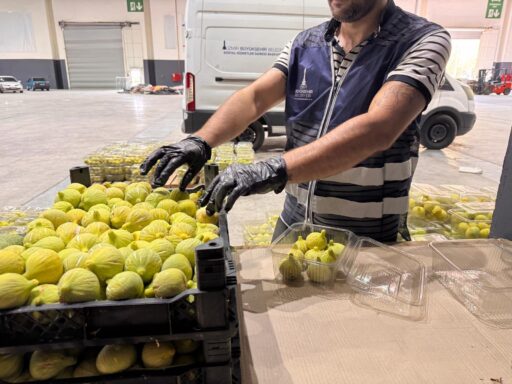 İzmir Büyükşehir Belediyesi tarafından yerel üreticiden satın alınan 2 bin