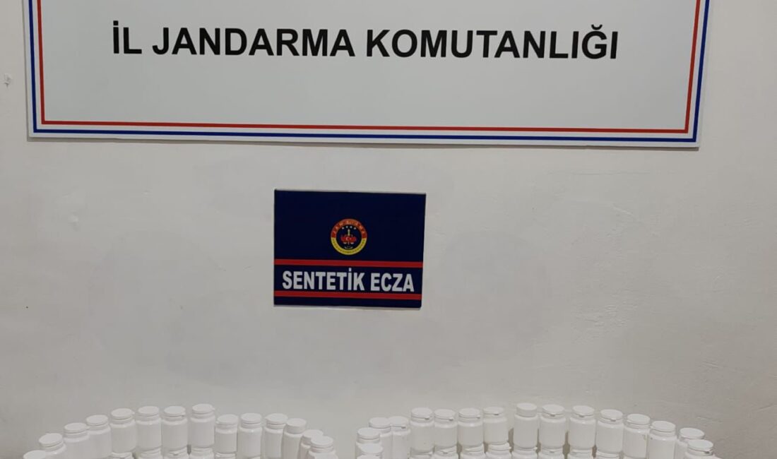 Jandarma ekipleri, çalılıkların altına gizlenmiş halde 4.580 adet sentetik hap